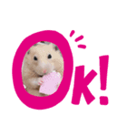 きなこっこ（個別スタンプ：4）
