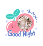 きなこっこ（個別スタンプ：5）
