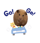 きなこっこ（個別スタンプ：6）