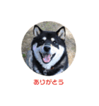 うにの日常会話（個別スタンプ：9）