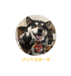 うにの日常会話（個別スタンプ：30）