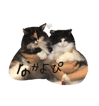 スーパーキュート（個別スタンプ：7）