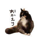 スーパーキュート（個別スタンプ：9）