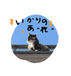 スーパーキュート（個別スタンプ：23）
