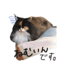 スーパーキュート（個別スタンプ：26）