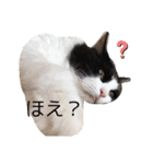 スーパーキュート（個別スタンプ：30）