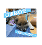 むぎ.2（個別スタンプ：1）