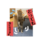 むぎ.2（個別スタンプ：2）