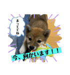 むぎ.2（個別スタンプ：5）