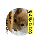 むぎ.2（個別スタンプ：6）