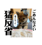 むぎ.2（個別スタンプ：7）