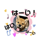 むぎ.2（個別スタンプ：9）