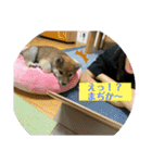 むぎ.2（個別スタンプ：11）