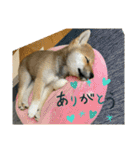 むぎ.2（個別スタンプ：13）