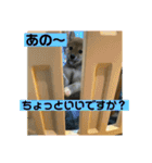 むぎ.2（個別スタンプ：14）