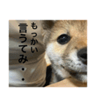 むぎ.2（個別スタンプ：15）
