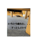 むぎ.2（個別スタンプ：16）