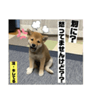 むぎ.2（個別スタンプ：17）