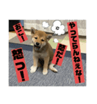 むぎ.2（個別スタンプ：18）