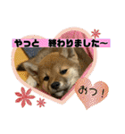 むぎ.2（個別スタンプ：19）