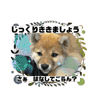 むぎ.2（個別スタンプ：21）