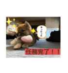 むぎ.2（個別スタンプ：22）
