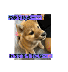 むぎ.2（個別スタンプ：29）