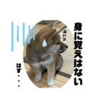 むぎ.2（個別スタンプ：30）