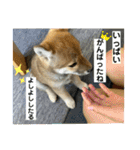 むぎ.2（個別スタンプ：34）