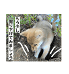 むぎ.2（個別スタンプ：35）