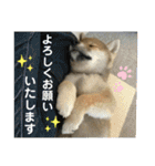 むぎ.2（個別スタンプ：37）