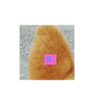 柴犬ガロ日常パート1（個別スタンプ：9）