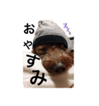 ももちゃんスタンプ:（個別スタンプ：1）