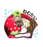 ももちゃんスタンプ:（個別スタンプ：9）