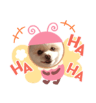 ポンちゃんキュート（個別スタンプ：6）