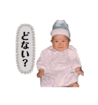 スタンプで会話してもろて（個別スタンプ：24）