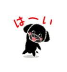 黒いわんこ（個別スタンプ：1）