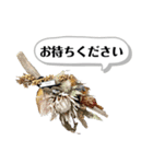 まつげヤ。ニコット（個別スタンプ：12）