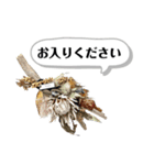 まつげヤ。ニコット（個別スタンプ：13）