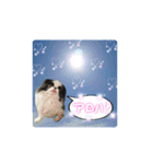 日本わんこのゆる～い愛のコトダマ日常編③（個別スタンプ：2）