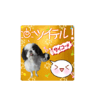 日本わんこのゆる～い愛のコトダマ日常編③（個別スタンプ：7）