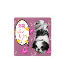 日本わんこのゆる～い愛のコトダマ日常編③（個別スタンプ：8）