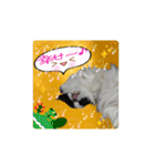 日本わんこのゆる～い愛のコトダマ日常編③（個別スタンプ：10）