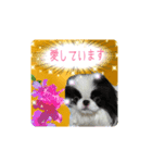 日本わんこのゆる～い愛のコトダマ日常編③（個別スタンプ：13）