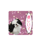 日本わんこのゆる～い愛のコトダマ日常編③（個別スタンプ：14）
