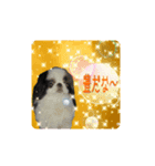 日本わんこのゆる～い愛のコトダマ日常編③（個別スタンプ：16）