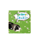 日本わんこのゆる～い愛のコトダマ日常編③（個別スタンプ：18）