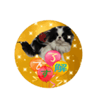 日本わんこのゆる～い愛のコトダマ日常編③（個別スタンプ：21）