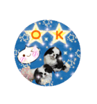 日本わんこのゆる～い愛のコトダマ日常編③（個別スタンプ：22）