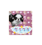 日本わんこのゆる～い愛のコトダマ日常編③（個別スタンプ：24）